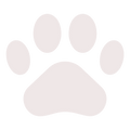 Respect des animaux garanti